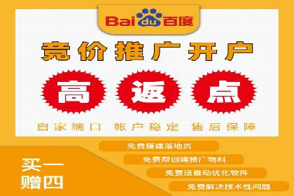 竞价排名优化策略案例分析